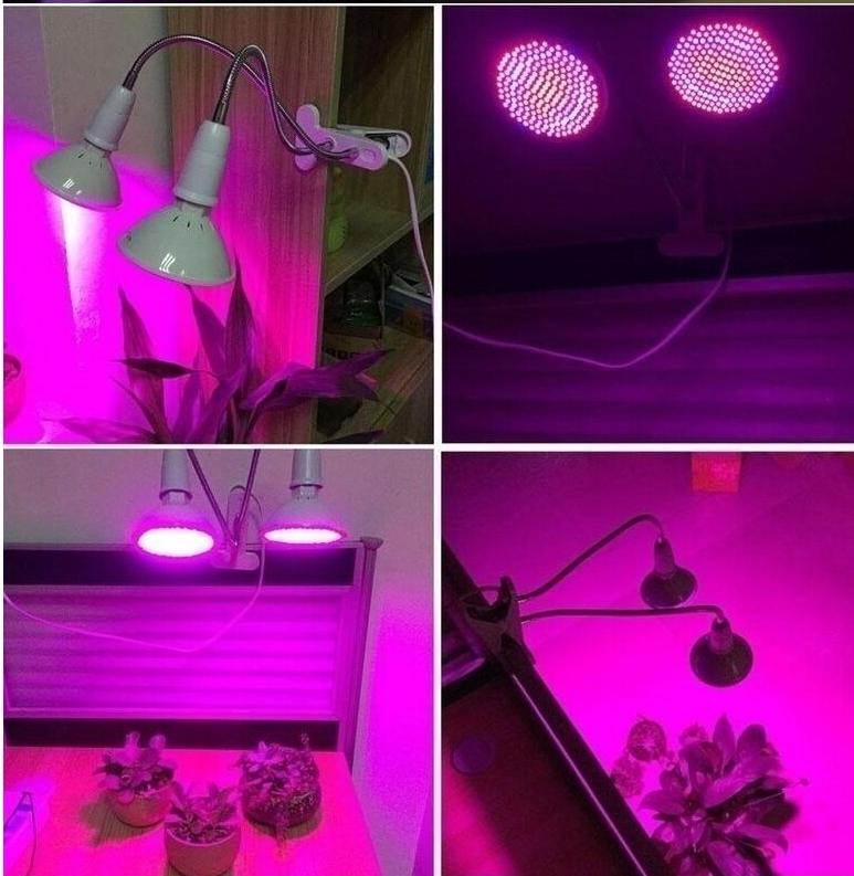 lumière artificielle pour plantes