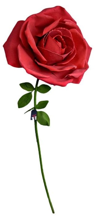 Rose énorme XXL - Des roses comme cadeau pour une femme