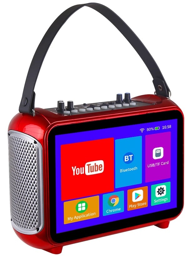 mini ensemble de karaoké portable avec écran et microphone