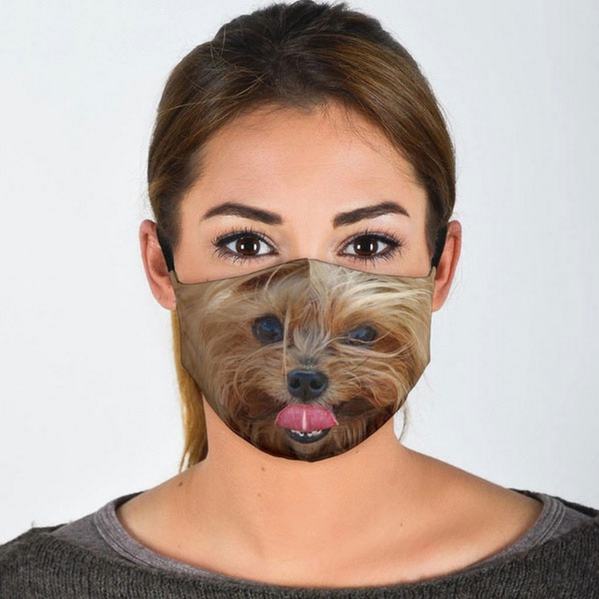 masque facial yorkshire terrier