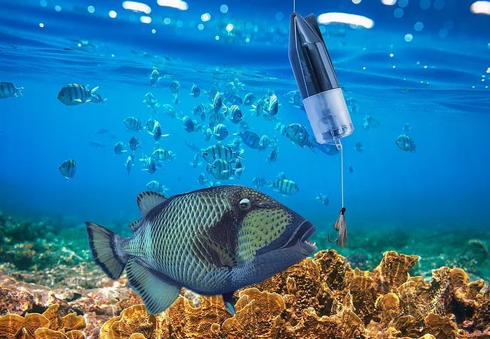 caméra de poissons sous-marine